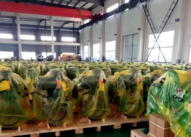 揚州市康成發電設備有限公司